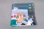 LOT 12 by Nina Martinez, Special Collections, and Fleet Library