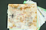 Palimpsest by Heather Watkins, Fleet Library, Special Collections, and Jan Baker