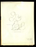 Disney by Special Collections and Fleet Library