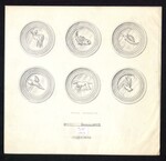 Pewter 1973-1975 by Special Collections and Fleet Library