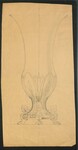 Vases Without Handles (Original location: Drawer 9) by Special Collections and Fleet Library