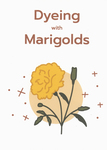 Dyeing with Marigolds