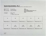 Neutral Value Gradation - No. 2