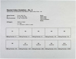Neutral Value Gradation - No. 5