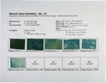 Neutral Value Gradation - No. 12