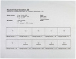 Neutral Value Gradation - No. 20