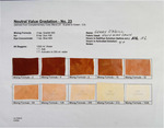 Neutral Value Gradation - No. 23