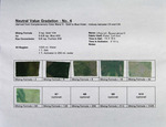Neutral Value Gradation 2 - No. 04