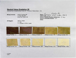 Neutral Value Gradation 2 - No. 20