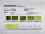 Neutral Value Gradation 2 - No. 01