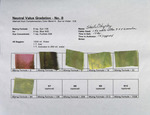 Neutral Value Gradation 2 - No. 08 by Jack Brockette and Fleet Library