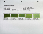 Double Dyes - No. 07 by Jack Brockette and Fleet Library
