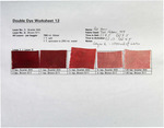 Double Dyes - No. 12 by Jack Brockette and Fleet Library