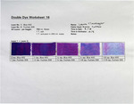 Double Dyes - No. 16 by Jack Brockette and Fleet Library