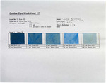 Double Dyes - No. 17 by Jack Brockette and Fleet Library