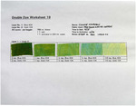 Double Dyes - No. 19 by Jack Brockette and Fleet Library