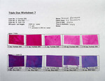 Triple Dye - No. 07