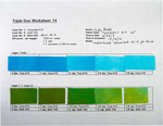 Triple Dye - No. 14
