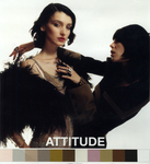 Attitude, Trend Fall / Winter 2004/05 by Swarovski, Visual + Material Resources, and Fleet Library