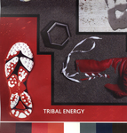 Tribal Energy Trend Spring / Summer 2005 by Swarovski, Visual + Material Resources, and Fleet Library