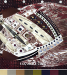 Exquisite Cuts Trend Fall / Winter 2005/06 by Swarovski, Visual + Material Resources, and Fleet Library