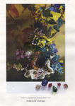 Romantic Inspirations Force of Nature Trend Spring / Summer 2014 by Swarovski, Visual + Material Resources, and Fleet Library